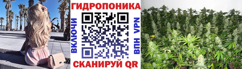 Купить где  Магнитогорск  Бошки марихуана марихуана 